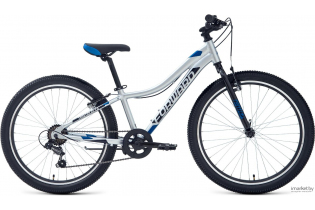 Велосипед Forward TWISTER 24 1.0 (24" 7 ск. рост. 12") 2020-2021, серебристый/синий, RBKW1J347015