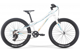 Велосипед Merida Matts J.24+ Eco (2022) Рама:One Size GlossyWhite/TealGold