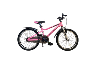 Велосипед TechTeam Drift 20" розовый (алюмин)
