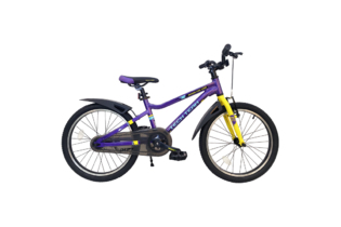 Велосипед TechTeam Drift 20" фиолетовый (алюмин)
