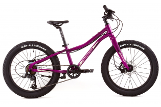 Велосипед "23 Merida Matts J.20+ Pro Рама:One Size Purple/BlackChampagne