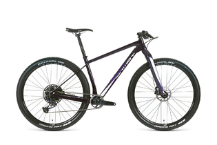 Велосипед Format 1112 29 (29" 12 ск. рост. M) 2024, фиолетовый, RB4T9C515XVTXXX