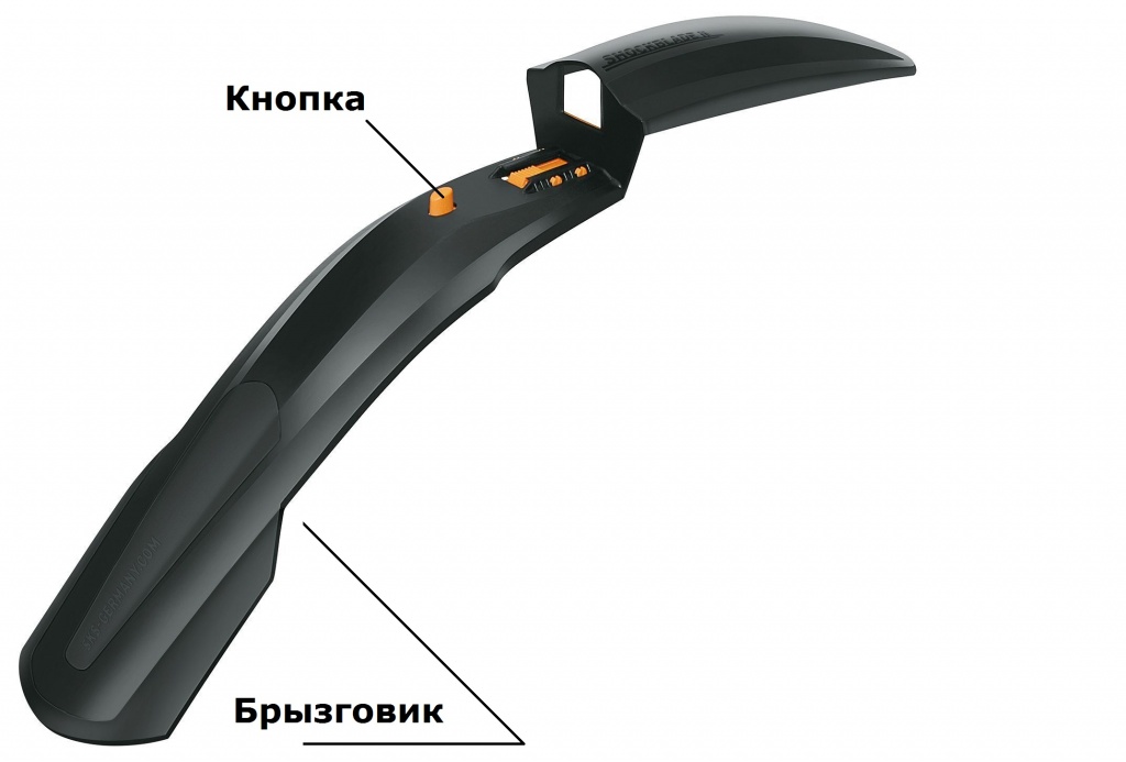 крыло.jpg